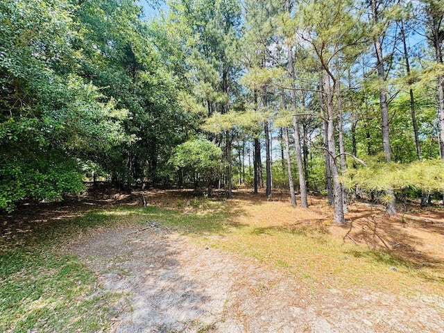 385 Elbert Baskins Rd, Cheraw, SC 29520 - photo 1