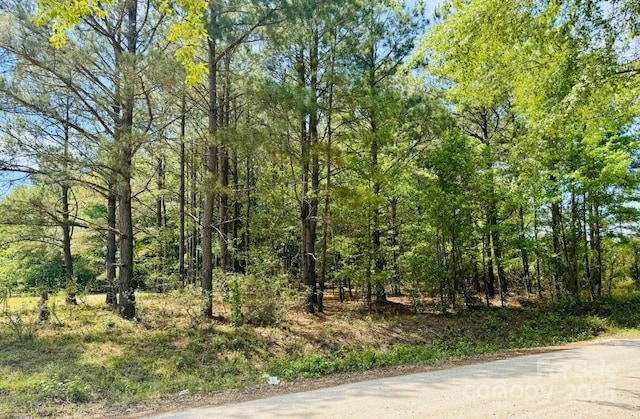 385 Elbert Baskins Rd, Cheraw, SC 29520 - photo 2
