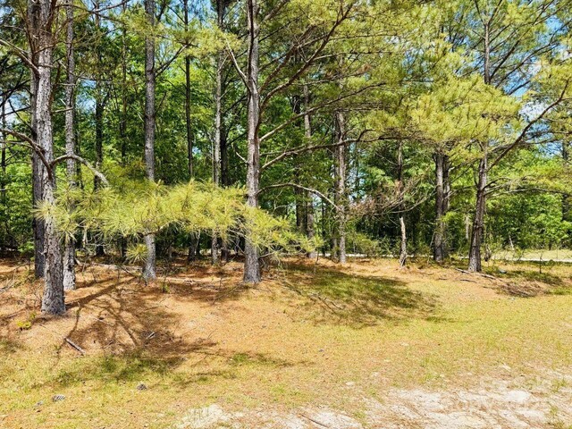 385 Elbert Baskins Rd, Cheraw, SC 29520 - photo 5
