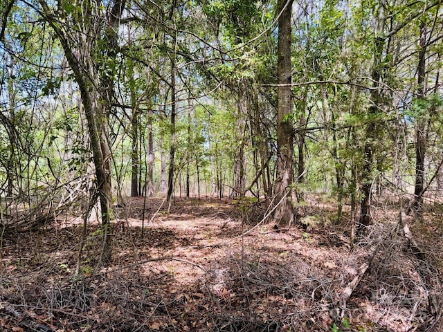 385 Elbert Baskins Rd, Cheraw, SC 29520 - photo 6