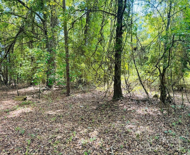 385 Elbert Baskins Rd, Cheraw, SC 29520 - photo 8