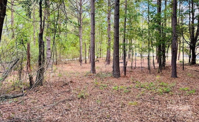 385 Elbert Baskins Rd, Cheraw, SC 29520 - photo 9