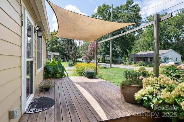 31 Skyland Cir, Asheville, NC 28804 - photo 3