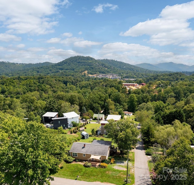 31 Skyland Cir, Asheville, NC 28804 - photo 37