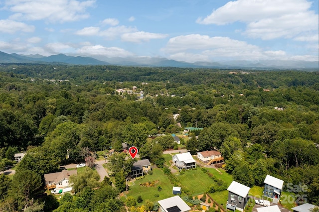 31 Skyland Cir, Asheville, NC 28804 - photo 38