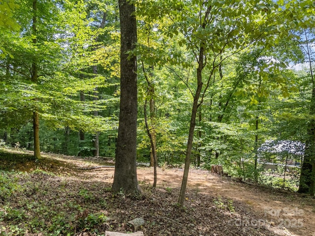 60 Overlook Dr, Columbus, NC 28722 - photo 32