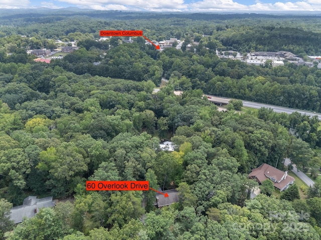 60 Overlook Dr, Columbus, NC 28722 - photo 33