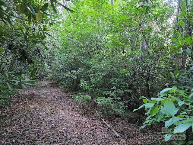 LOT2 Pine Ridge Rd, Burnsville, NC 28714 - photo 1