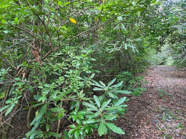 LOT2 Pine Ridge Rd, Burnsville, NC 28714 - photo 2
