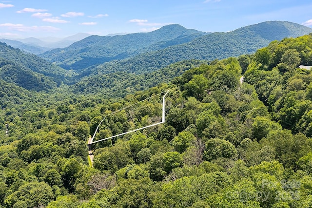 16 Mountain Gait Dr Unit 16, Mars Hill, NC 28754 - photo 1