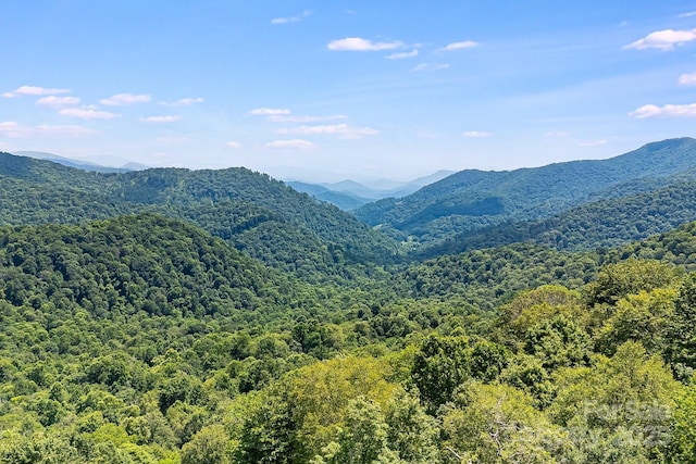 16 Mountain Gait Dr Unit 16, Mars Hill, NC 28754 - photo 2