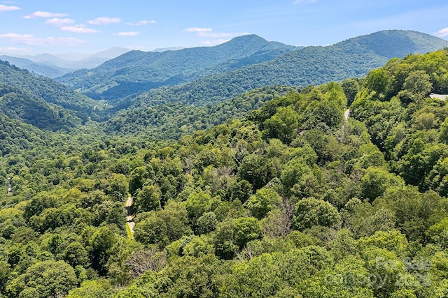 16 Mountain Gait Dr Unit 16, Mars Hill, NC 28754 - photo 3