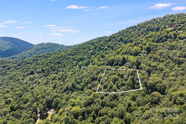 16 Mountain Gait Dr Unit 16, Mars Hill, NC 28754 - photo 4