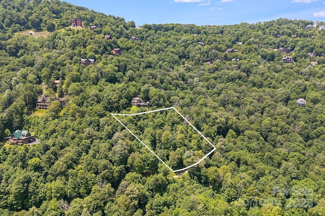 16 Mountain Gait Dr Unit 16, Mars Hill, NC 28754 - photo 5