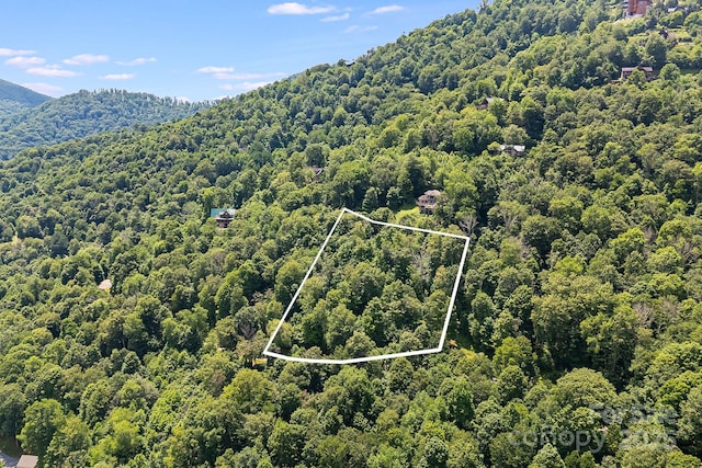 16 Mountain Gait Dr Unit 16, Mars Hill, NC 28754 - photo 6