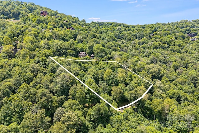 16 Mountain Gait Dr Unit 16, Mars Hill, NC 28754 - photo 8