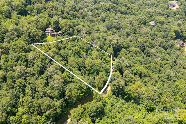 16 Mountain Gait Dr Unit 16, Mars Hill, NC 28754 - photo 9