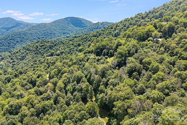 16 Mountain Gait Dr Unit 16, Mars Hill, NC 28754 - photo 10