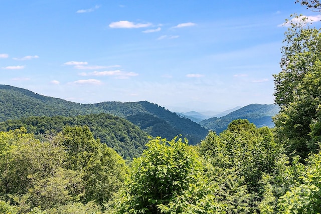 16 Mountain Gait Dr Unit 16, Mars Hill, NC 28754 - photo 11