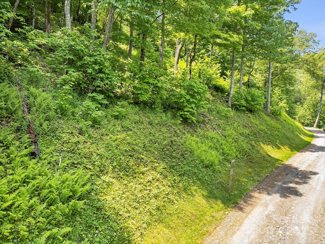 16 Mountain Gait Dr Unit 16, Mars Hill, NC 28754 - photo 13