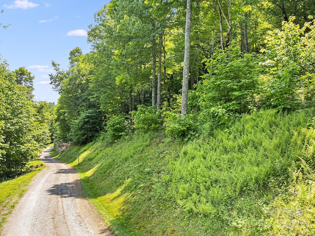 16 Mountain Gait Dr Unit 16, Mars Hill, NC 28754 - photo 14