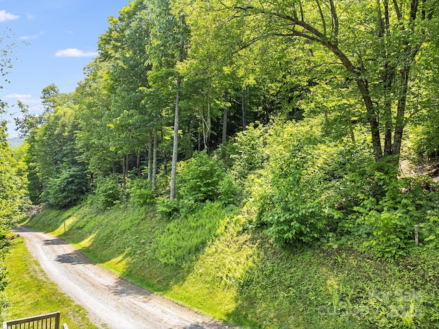 16 Mountain Gait Dr Unit 16, Mars Hill, NC 28754 - photo 15