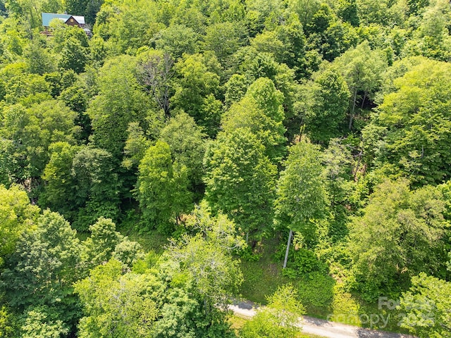 16 Mountain Gait Dr Unit 16, Mars Hill, NC 28754 - photo 16