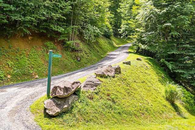 16 Mountain Gait Dr Unit 16, Mars Hill, NC 28754 - photo 12