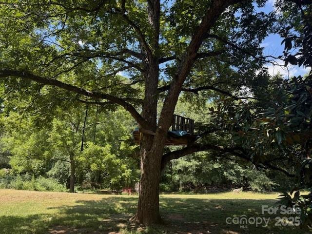 322 Pinkney Rd, Dallas, NC 28034 - photo 7