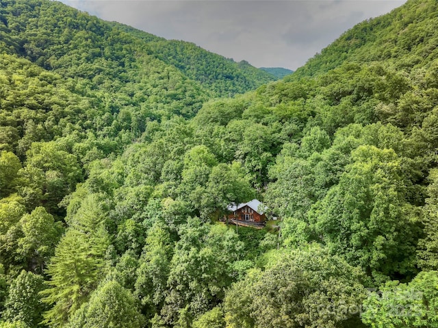 127 Whataview Dr, Whittier, NC 28789 - photo 2