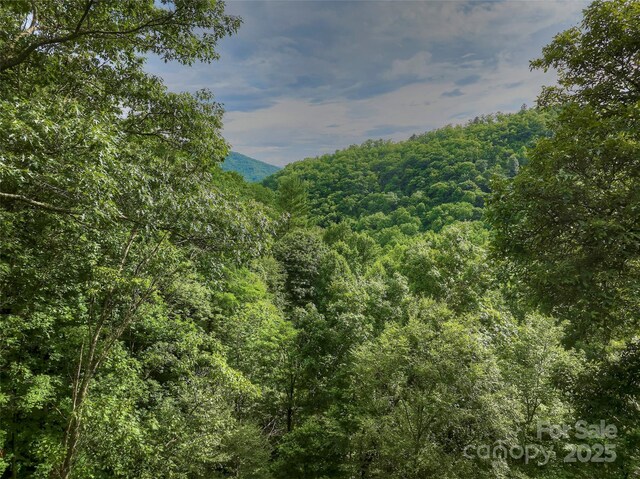 127 Whataview Dr, Whittier, NC 28789 - photo 25