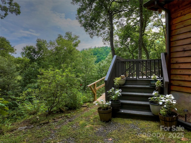 127 Whataview Dr, Whittier, NC 28789 - photo 26