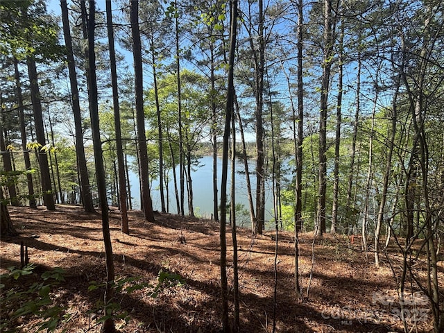 1036 Tranquil Cove Ct Unit 26, Connelly Springs, NC 28612 - photo 2
