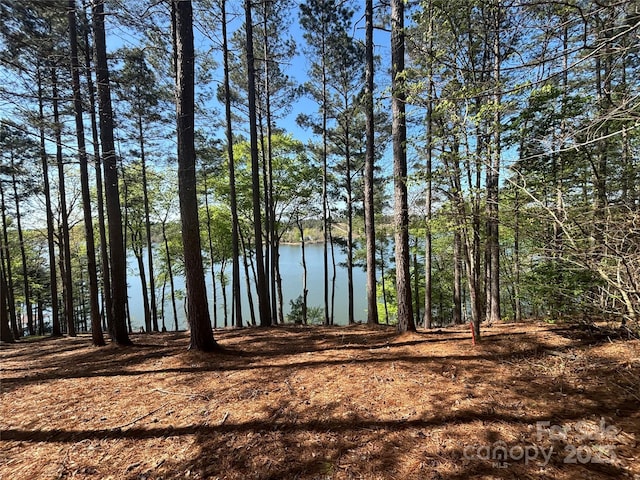 1036 Tranquil Cove Ct Unit 26, Connelly Springs, NC 28612 - photo 3
