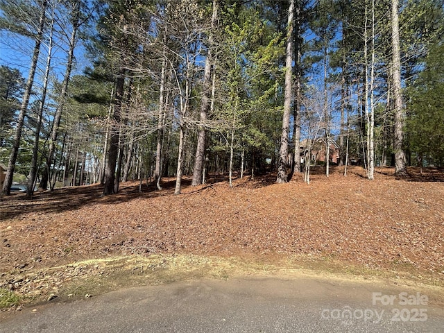 1036 Tranquil Cove Ct Unit 26, Connelly Springs, NC 28612 - photo 13