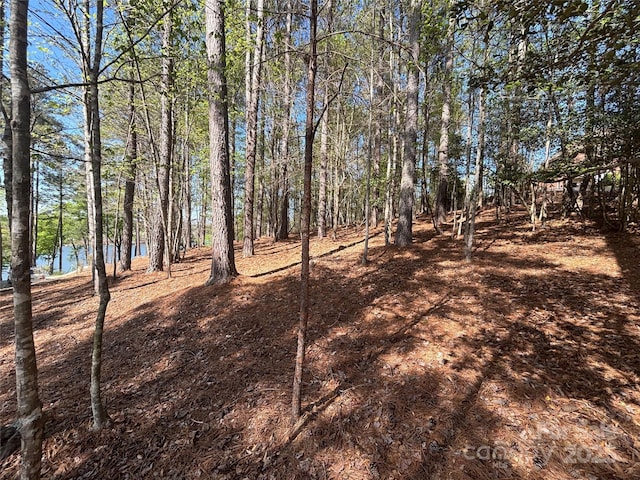 1036 Tranquil Cove Ct Unit 26, Connelly Springs, NC 28612 - photo 14