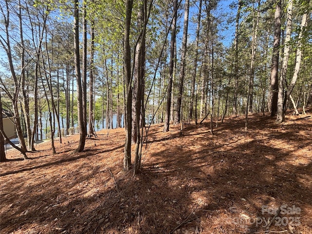 1036 Tranquil Cove Ct Unit 26, Connelly Springs, NC 28612 - photo 15