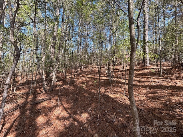 1036 Tranquil Cove Ct Unit 26, Connelly Springs, NC 28612 - photo 16