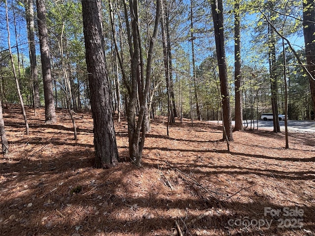 1036 Tranquil Cove Ct Unit 26, Connelly Springs, NC 28612 - photo 17