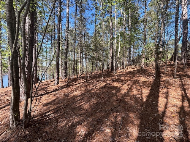 1036 Tranquil Cove Ct Unit 26, Connelly Springs, NC 28612 - photo 18