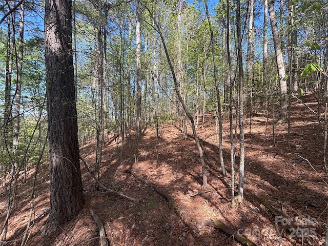 1036 Tranquil Cove Ct Unit 26, Connelly Springs, NC 28612 - photo 19