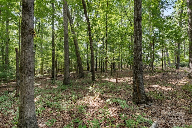 110 Amanda Dr, Matthews, NC 28104 - photo 6