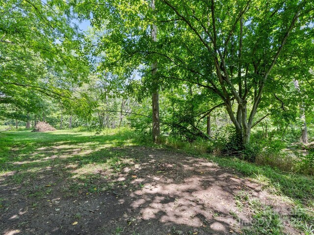 1170 Crabtree Rd, Waynesville, NC 28785 - photo 7