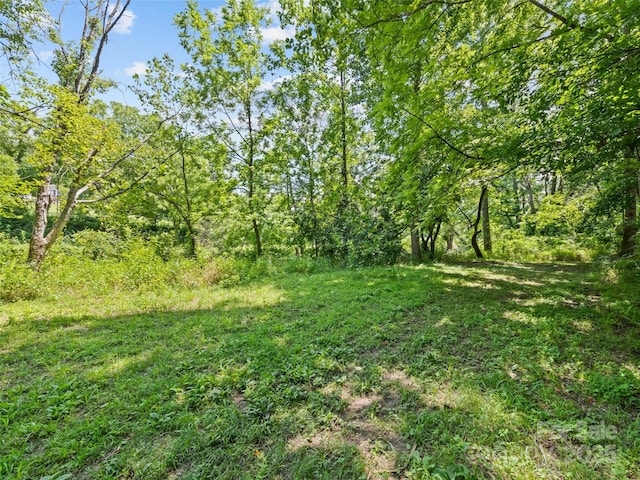 1170 Crabtree Rd, Waynesville, NC 28785 - photo 8