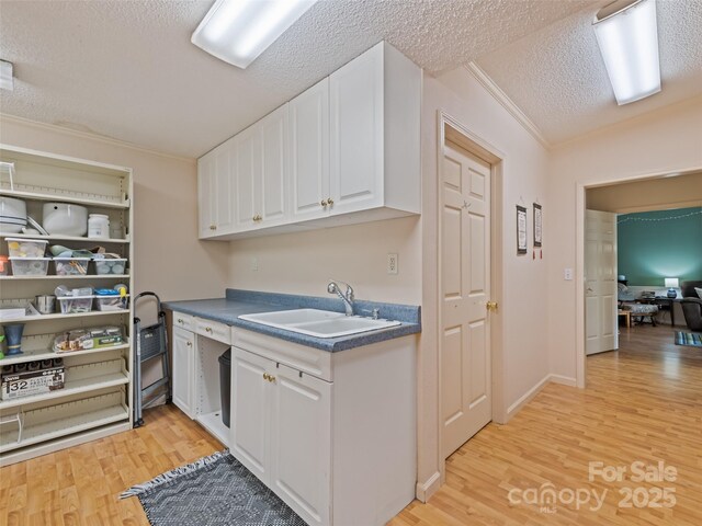 1170 Crabtree Rd, Waynesville, NC 28785 - photo 14