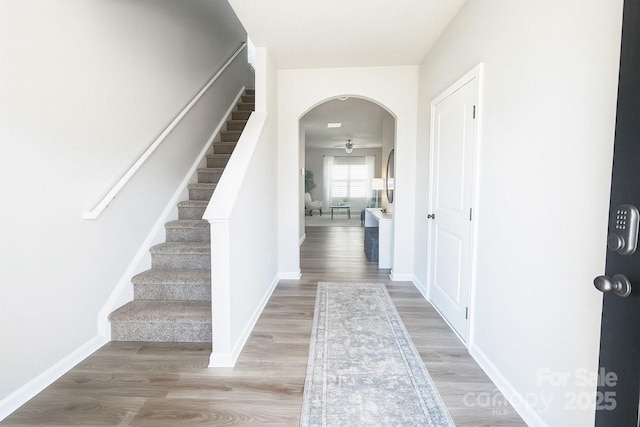 4040 Stoneygreen Ln, Charlotte, NC 28215 - photo 2
