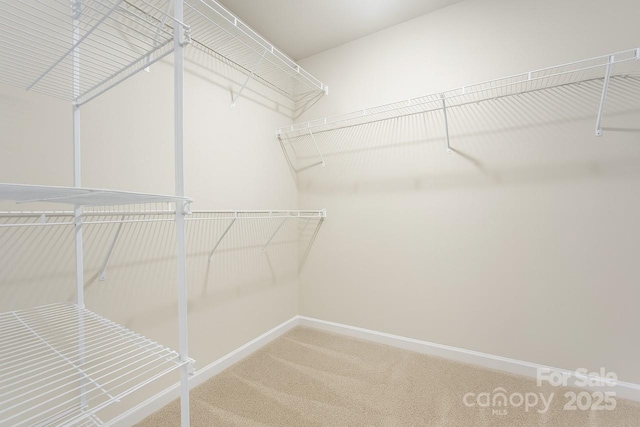 4040 Stoneygreen Ln, Charlotte, NC 28215 - photo 15