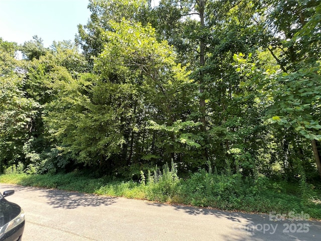00 Kendrick Ave, Charlotte, NC 28269 - photo 3