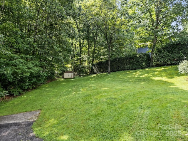 401 Nelson St, Clyde, NC 28721 - photo 9