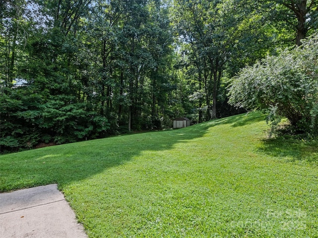 401 Nelson St, Clyde, NC 28721 - photo 13